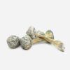 Psilocybin Mushrooms