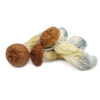 Psilocybin Mushrooms