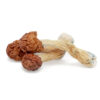Psilocybin Mushrooms