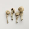 Magic Mushrooms