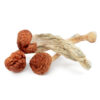 Psilocybin Mushrooms