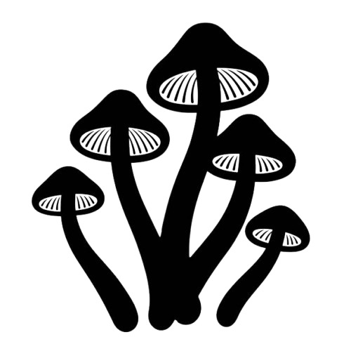 PSILOCYBIN MUSHROOMS