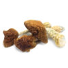 Psilocybin Mushrooms