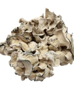 Magic Mushrooms