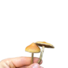 Magic Mushrooms
