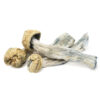 Psilocybin Mushrooms