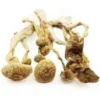 Psilocybin Mushrooms