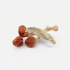 Magic Mushrooms