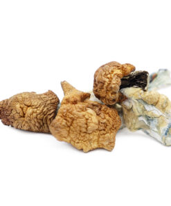 Magic Mushrooms