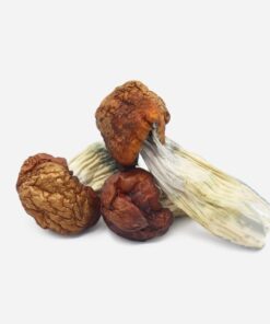 Magic Mushrooms